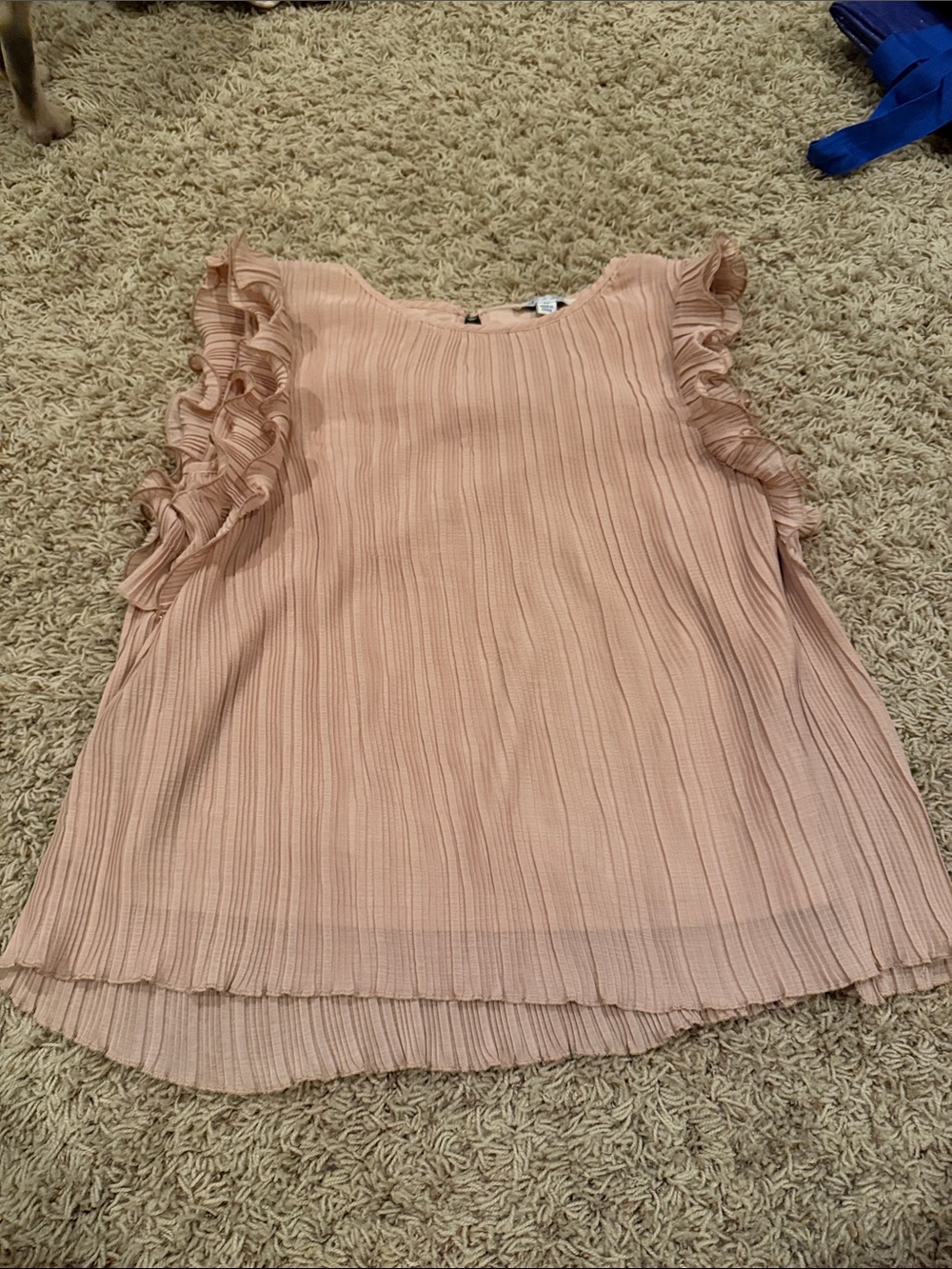 She + Sky Blush Pink Pleated Ruffle Sleeve Camisole